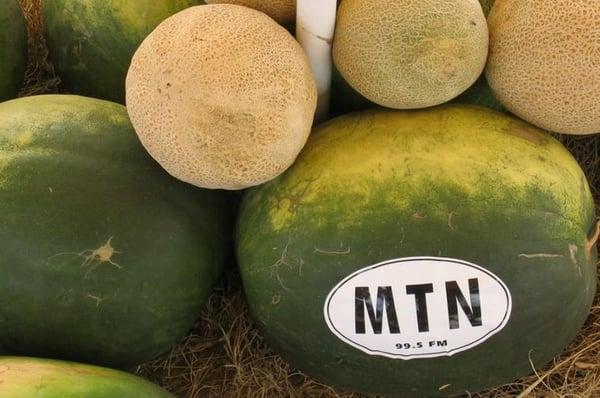 photo of Pinecone E.