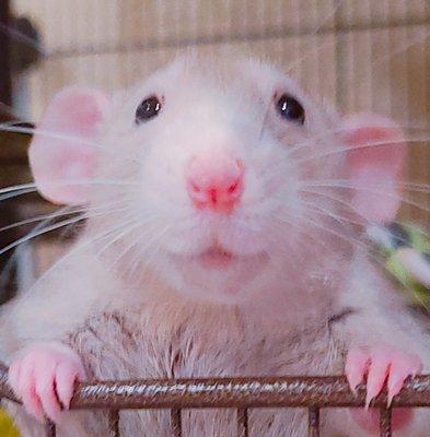 Photo of Brieana H.