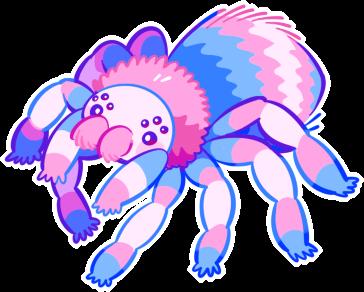 photo of Trinantula C.