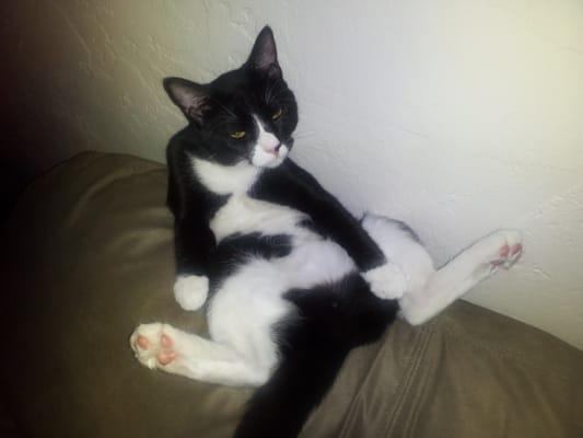 Photo of Biggcheese V.