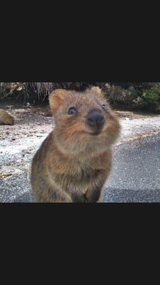 photo of Kristine D.