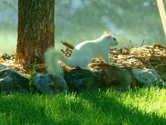 photo of Christina F.