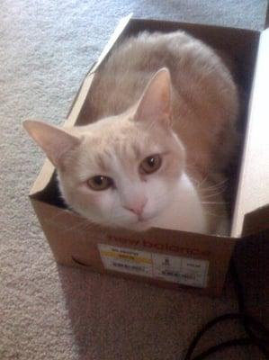 Photo of Kat O.