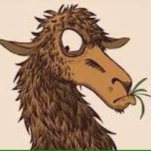 photo of Reviewer R.