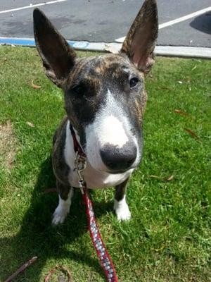 photo of Vivian Fabiola V.