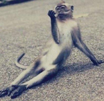 photo of Gaming With The Queen M.