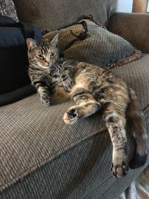 Photo of Chrissy B.