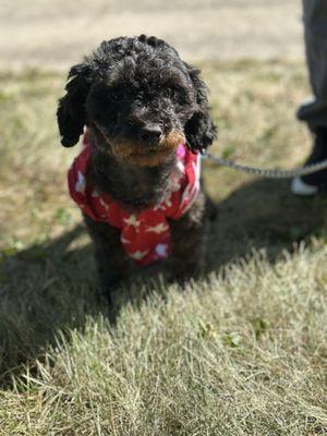 photo of Kristine S.