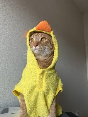 photo of Suppawan J.