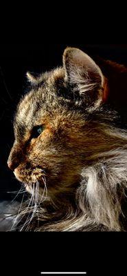 Photo of Maryann C.