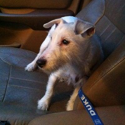 photo of Carolina C.