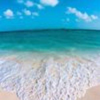 photo of Kimberly B.