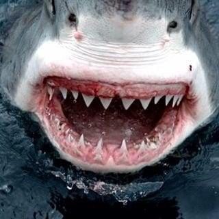 Photo of Mrs M.