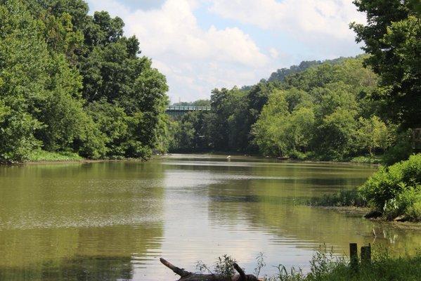 photo of Hollywood H.