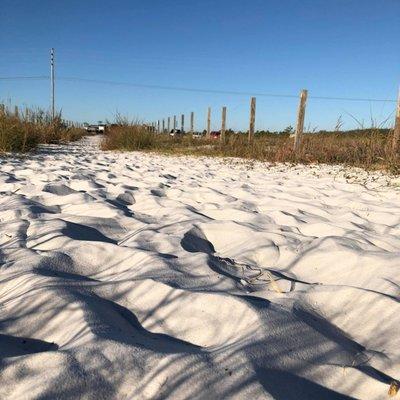 photo of Lynn Ubuntu S.