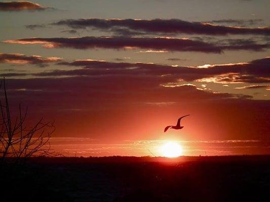 photo of Virginia K.