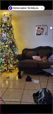 photo of Mitchell L.