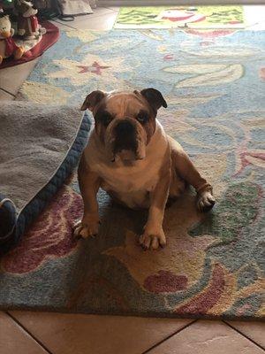 photo of Stephanie B.