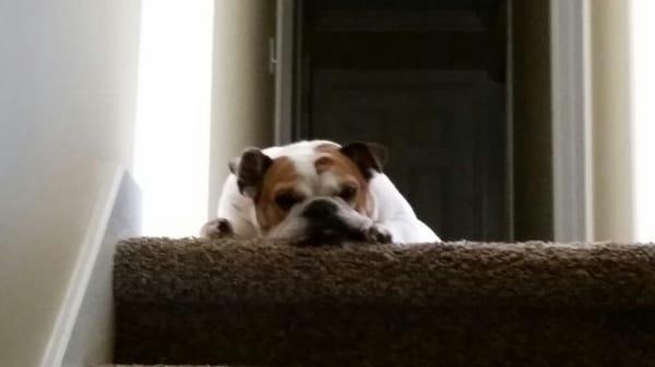 photo of Lawrence V.