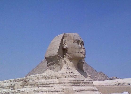 photo of Bohemian D.