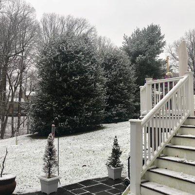 Photo of Vivienne B.