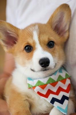 photo of Christina Y.