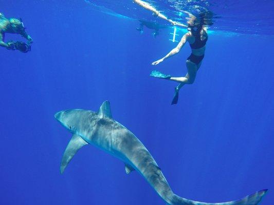 photo of Samantha H.