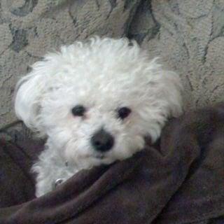 Photo of Corri S.