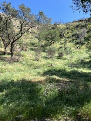 photo of Alexandria W.