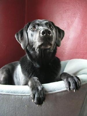 photo of Anna and Matt G.