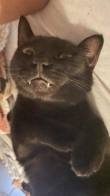 photo of Cheyenne H.