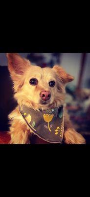 photo of Jennifer F.