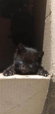 Photo of Vivi D.