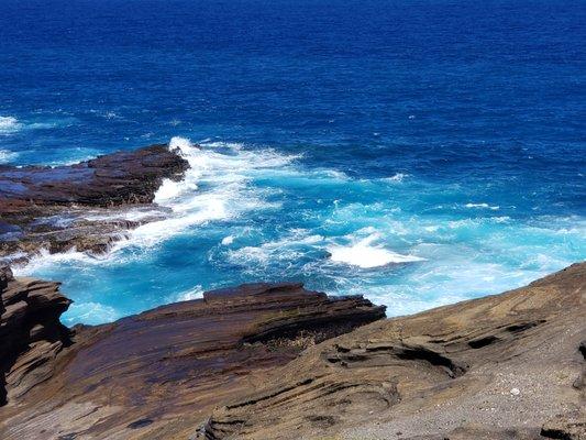 photo of Virginia T.