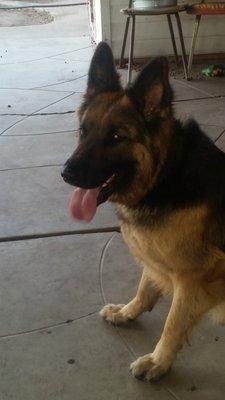 Photo of Serena F.