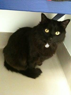 photo of Katherine B.