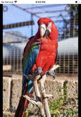 photo of Chanchal K.