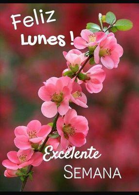 photo of Guadalupe P.