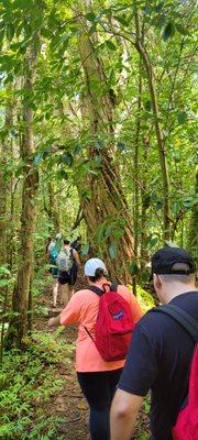 photo of Alessandra T.