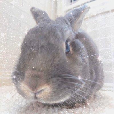 Photo of Piko L.