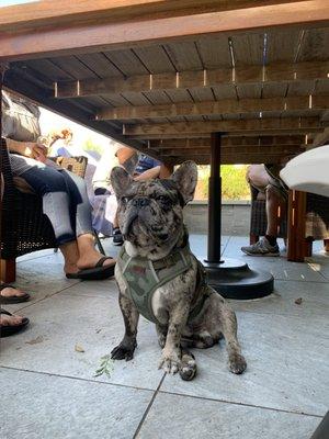 photo of Cristina Shops C.