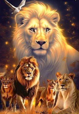 photo of Annemarie B.