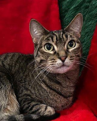 Photo of Kathleen K.