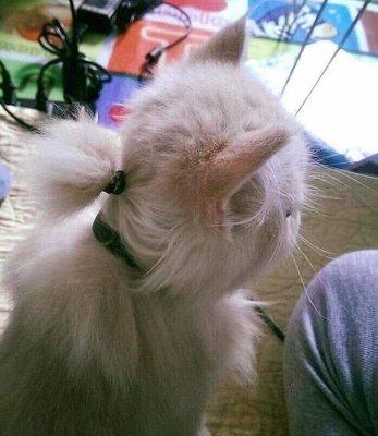 photo of Kristina K.