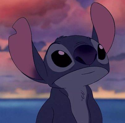 Photo of Stitch ..