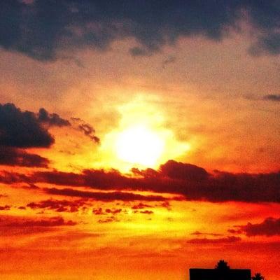 photo of Rachelle S.