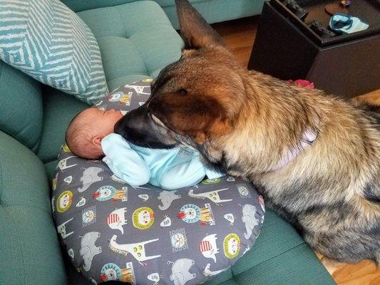 photo of Angelina N.