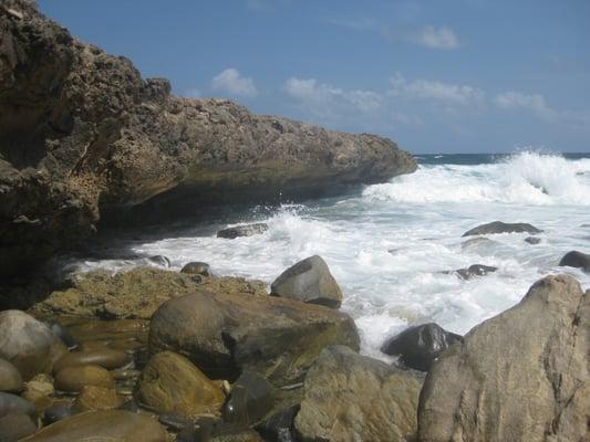 Photo of Marianne S.