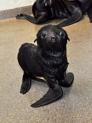 photo of Emmanuel G.