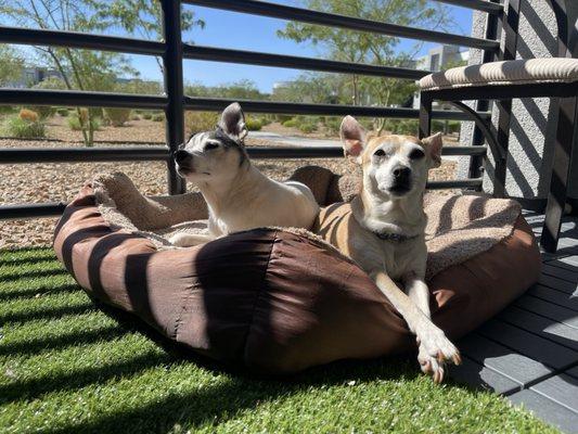 photo of Tanishia B.